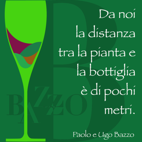 BAZZO_tagline sito 2